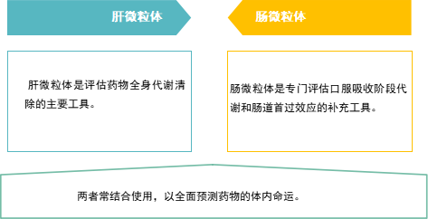 肠微粒体 1-4.png 肠微粒体 1-4.png