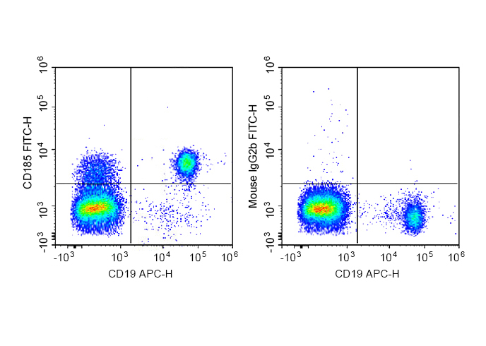 PE Anti-Human CD235 Antibody(H