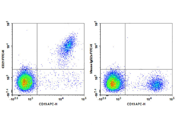 PE Anti-Human HLA-DR Antibody(