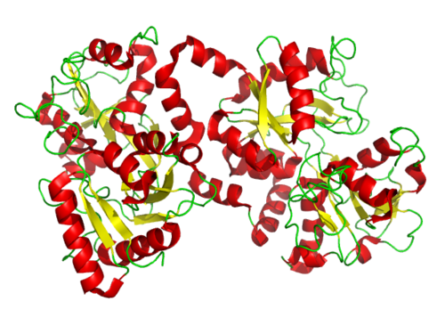 天然人Lactoferrin蛋白 | Human Lacto