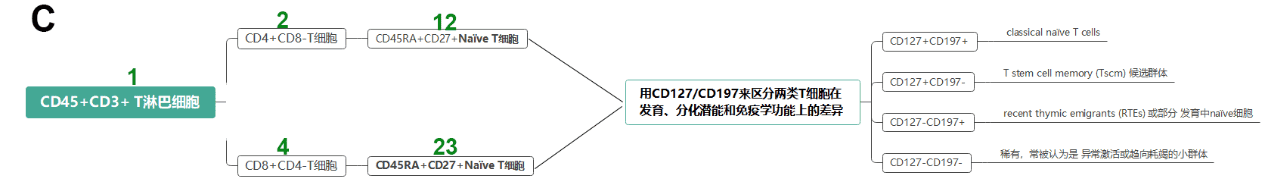 OMIP-004：15色Panel实现人Treg精细表型与功能解析