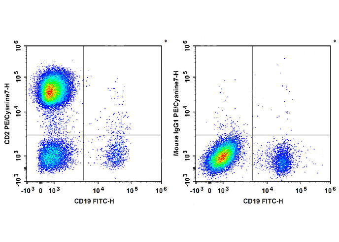 PE Syrian Hamster IgG Isotype 