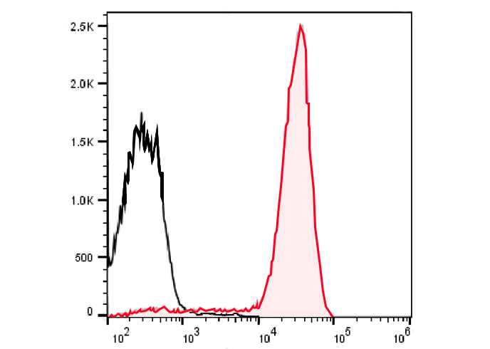 Sunncell 488 Anti-Human CD105(