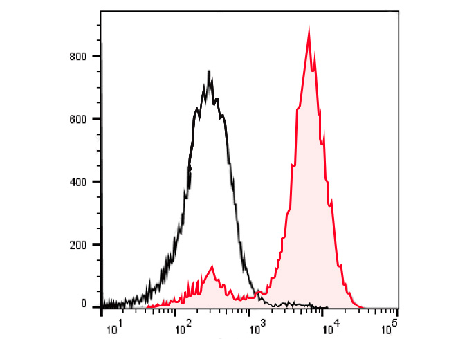 APC Anti-Mouse TCRβ Antibody(H