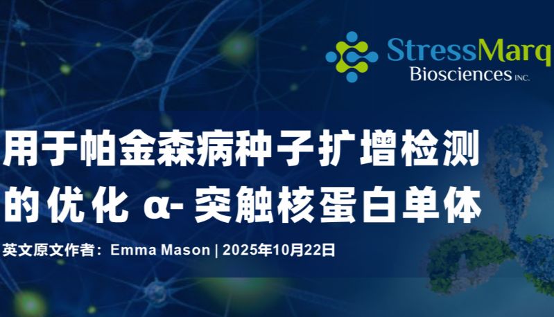 用于帕金森病种子扩增检测的优化α-突触核蛋白单体
