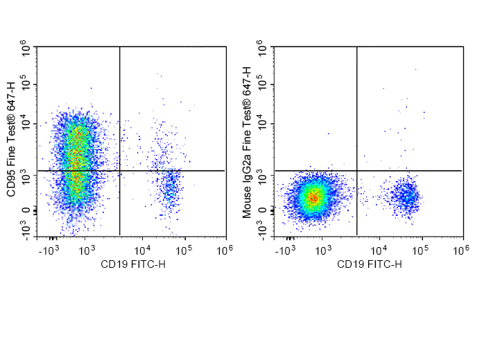 PE-Sunncell 594 Anti-Human IL-