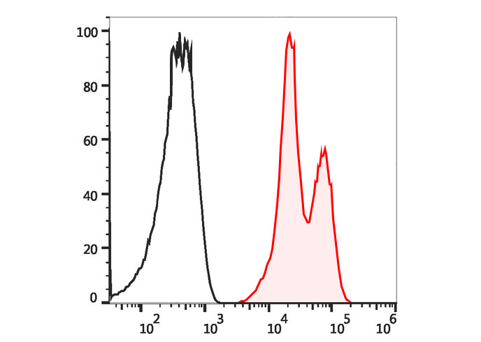PE Rat IgG2a,κ Isotype Control