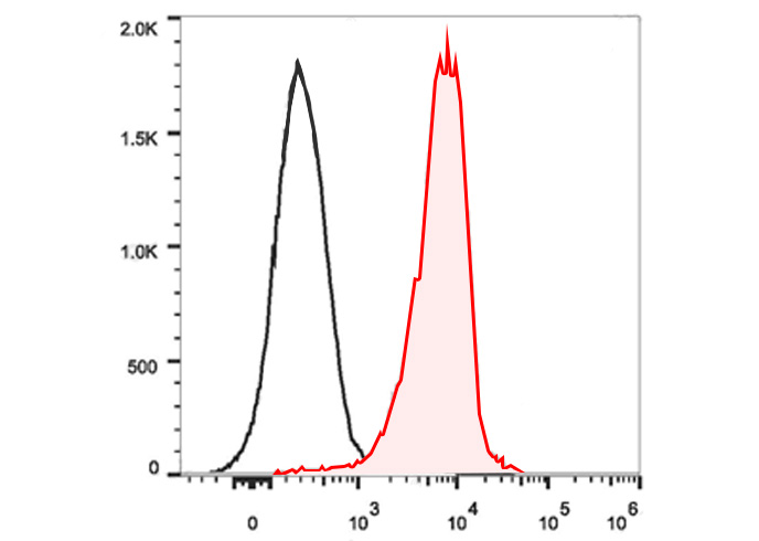 PerCP-Cy5.5 Anti-Mouse CD11c A