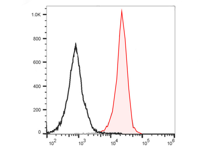 PE-Cy5.5 Anti-Mouse CD11c Anti