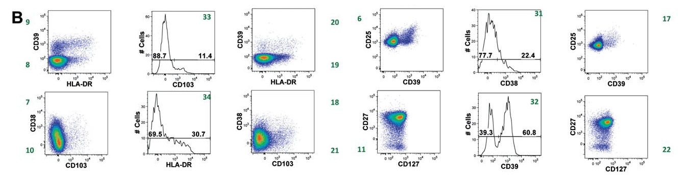 OMIP-004：15色Panel实现人Treg精细表型与功能解析