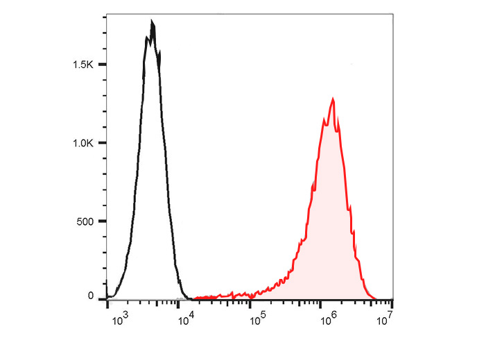 PE Anti-Human CD56 (B-A19)