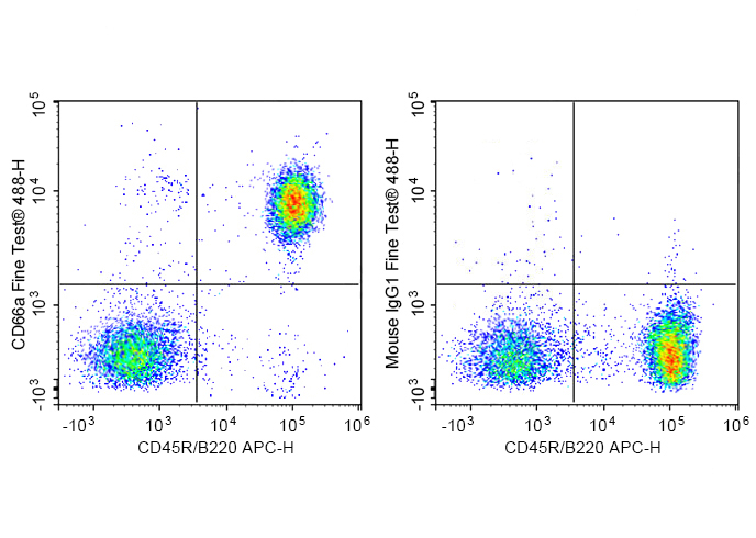 Sunncell 488 Anti-Human IgD An