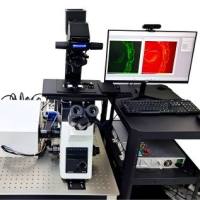 激光共聚焦显微镜