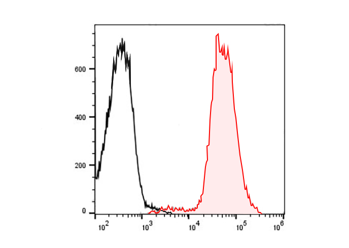 PE Anti-Mouse CD73 (TY/23)