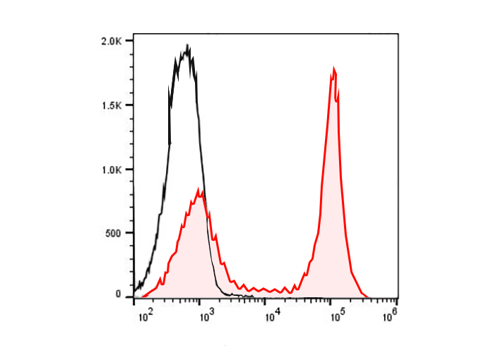 APC Anti-Mouse CD272/BTLA Anti