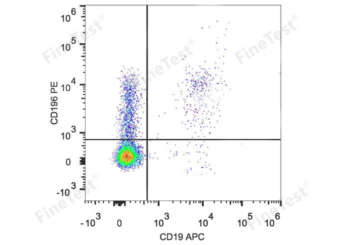 PE Anti-Human CD80 Antibody(2F