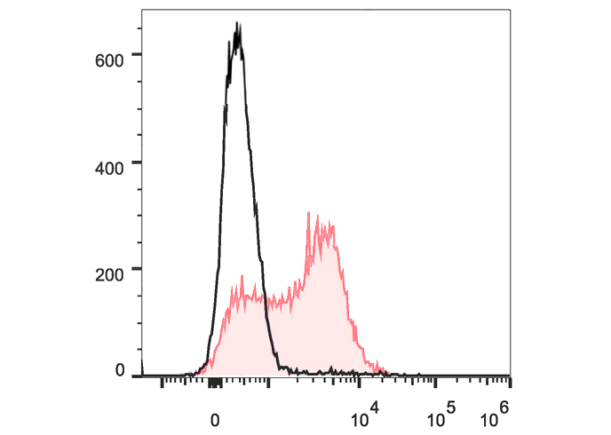 PE-Cy7 Anti-Mouse TCRβ Antibod