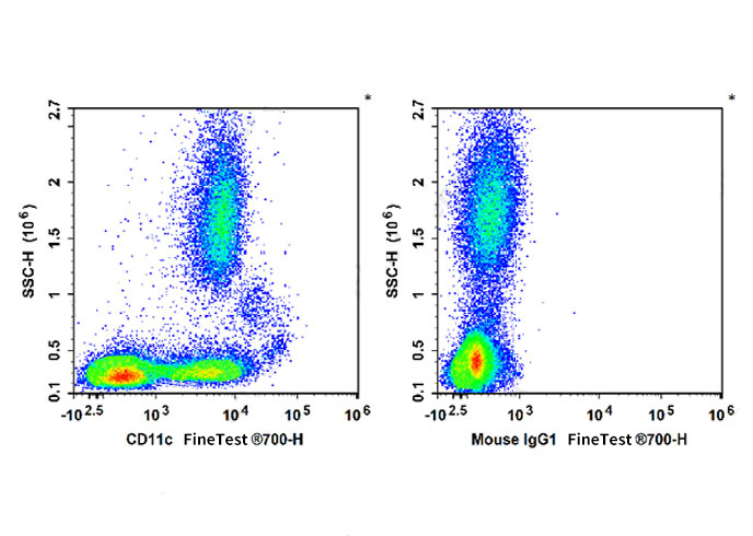 PE Anti-Mouse CD115 (AFS98)