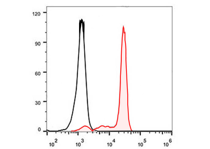 PE Anti-Mouse CD3 (17A2)