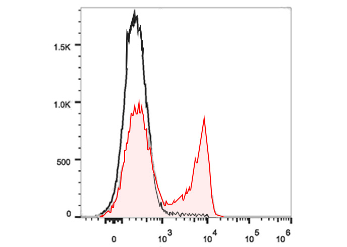 Sunncell Violet 540 Rat IgM, κ