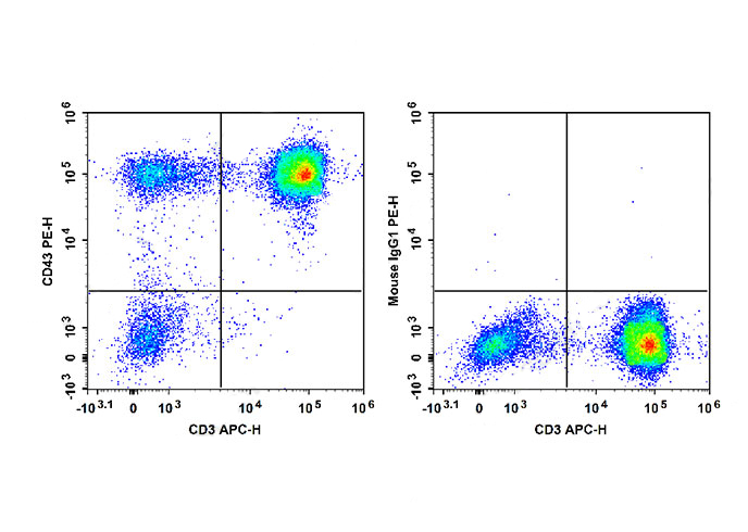 APC Anti-Human CD47 Antibody(B