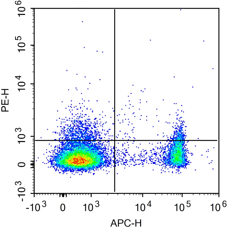 PE-Cy5 Anti-Mouse Ly-6G/Ly-6C