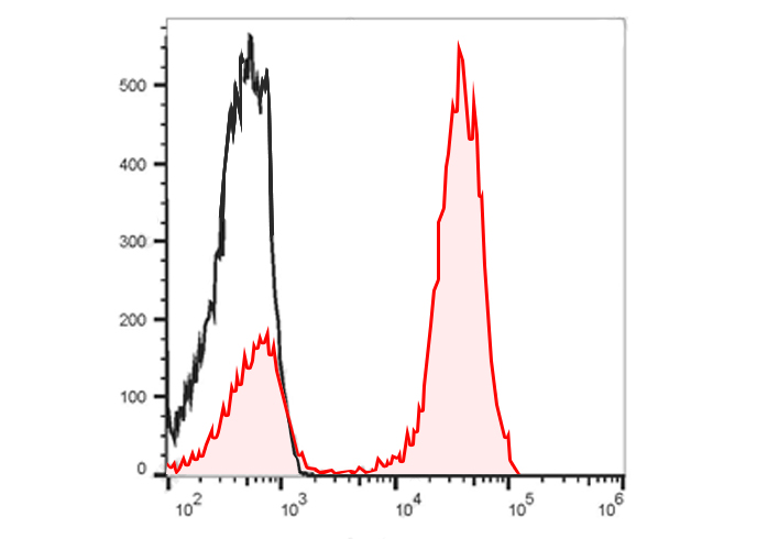 Sunncell 488 Anti-Human CD73 A