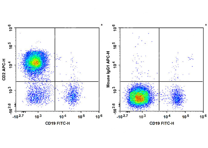PerCP-Cy5.5 Rat IgG2a, κ Isoty