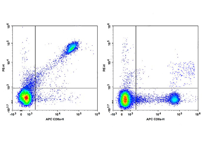 Sunncell 647 Anti-Human CD274(