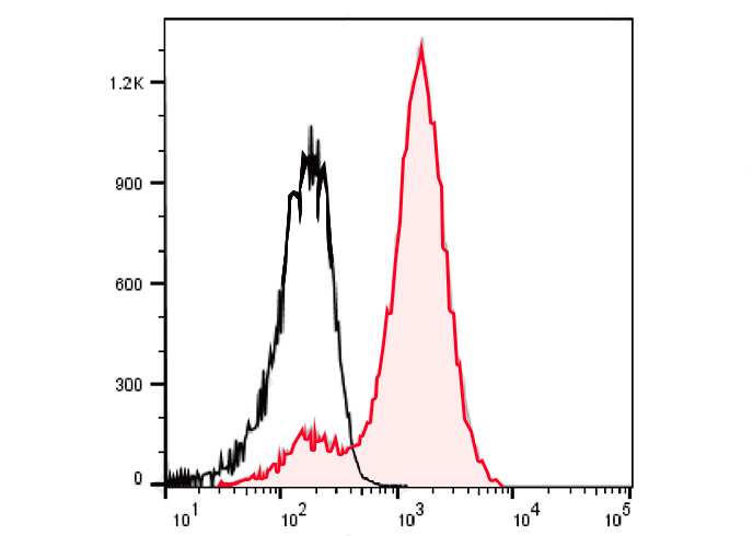 Sunncell 488 Anti-Mouse F4/80 