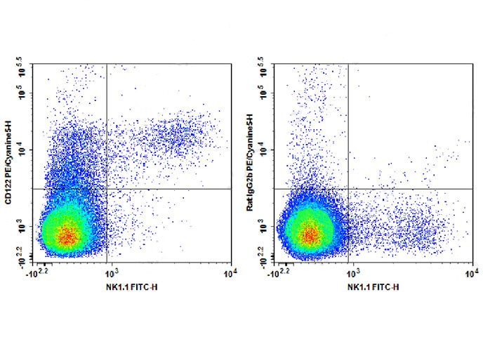 PE Anti-Human CD196 Antibody(G
