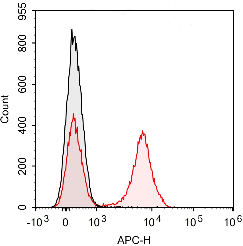 APC Anti-Mouse CD19(1D3)