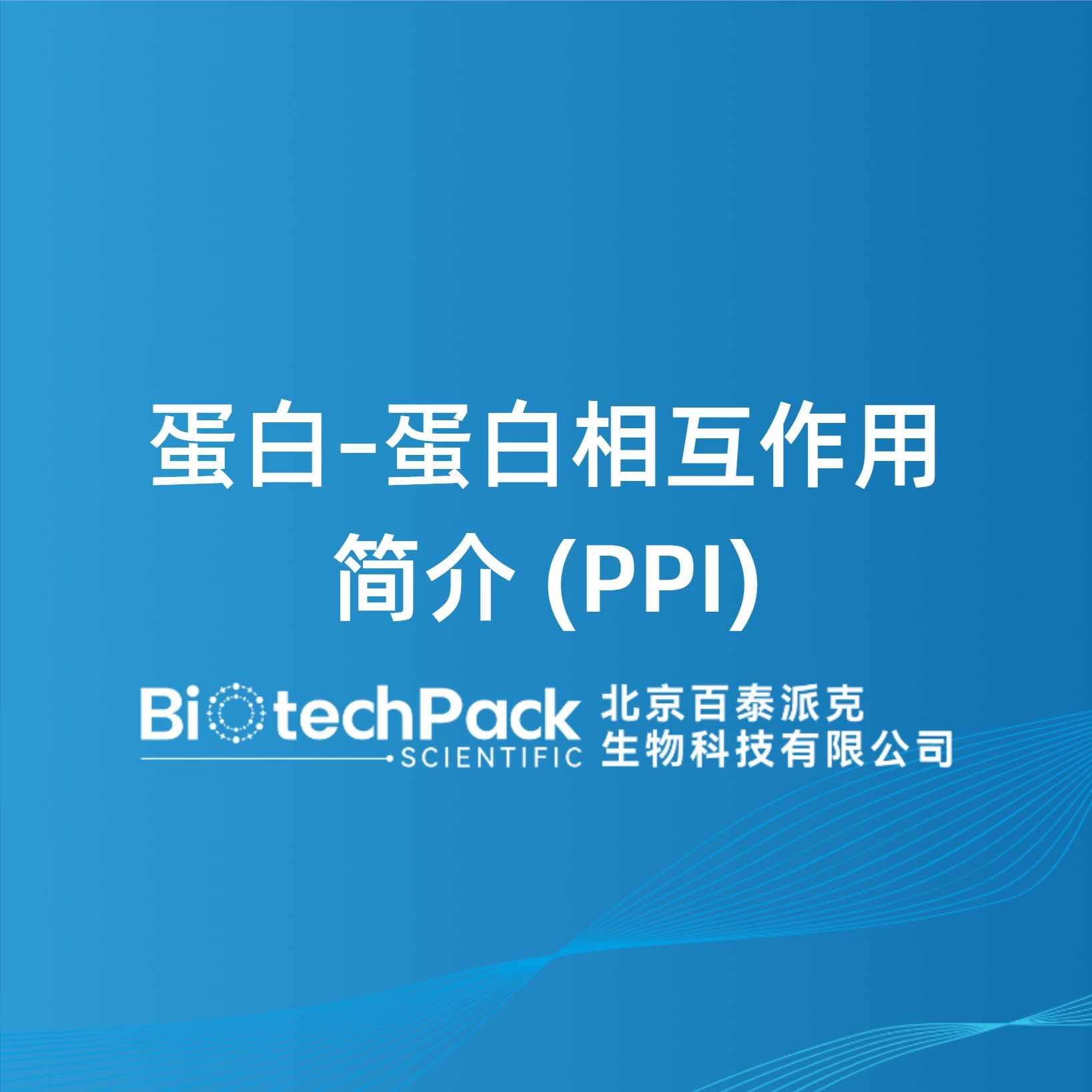 蛋白–蛋白相互作用简介 (PPI)