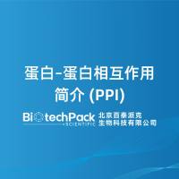 蛋白–蛋白相互作用简介 (PPI)
