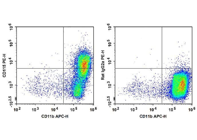 Sunncell Violet 610 Anti-Human
