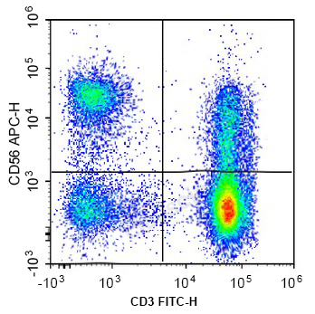 APC Anti-Human CD56 (B-A19)