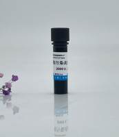细胞污染高效清除剂（2000×）/细胞污染清除剂/黑胶虫清除剂 