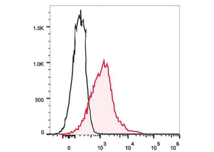 Sunncell 488 Anti-Human CD19(C