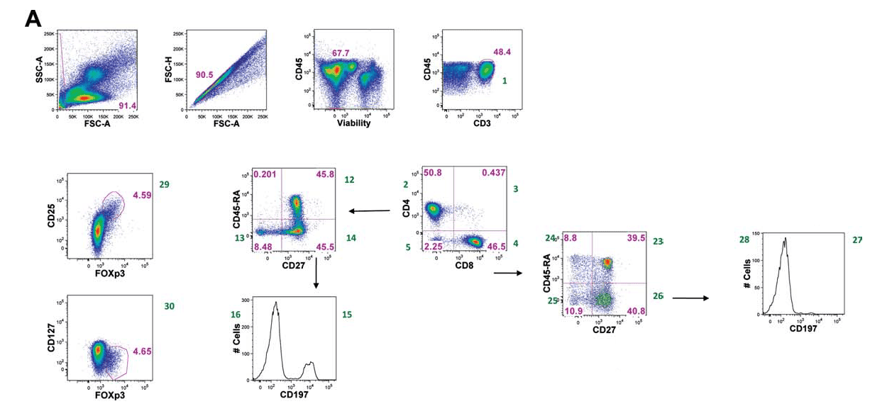 OMIP-004：15色Panel实现人Treg精细表型与功能解析
