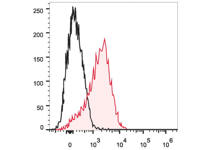 FITC Anti-Mouse/Rat Foxp3(FJK-