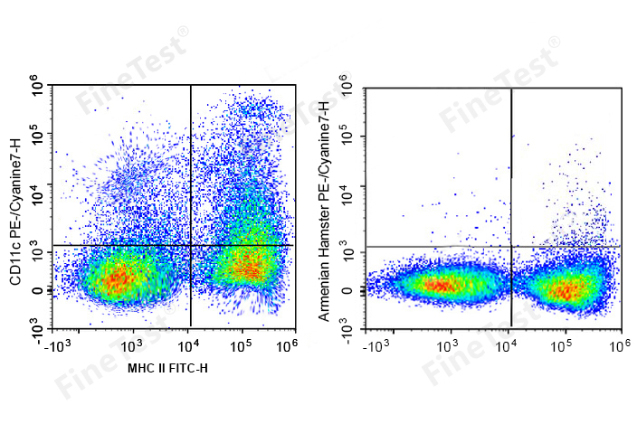 Sunncell 700 Anti-Human CD161