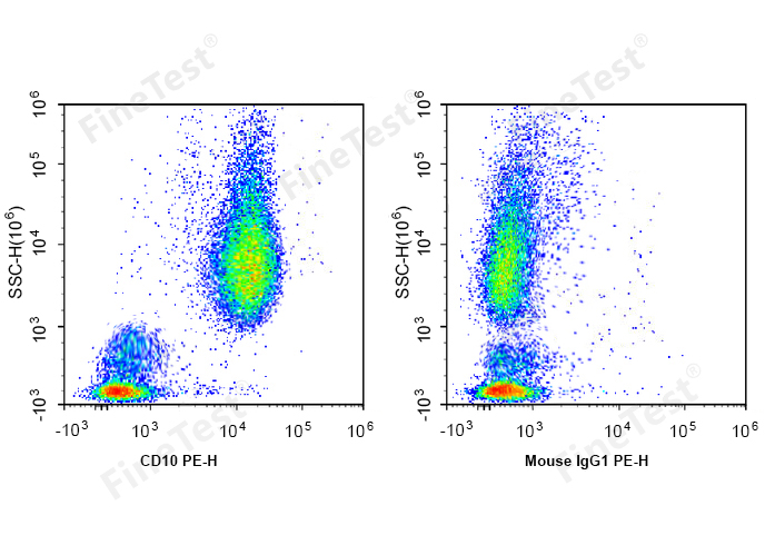 Sunncell 647 Anti-Mouse CD86 A
