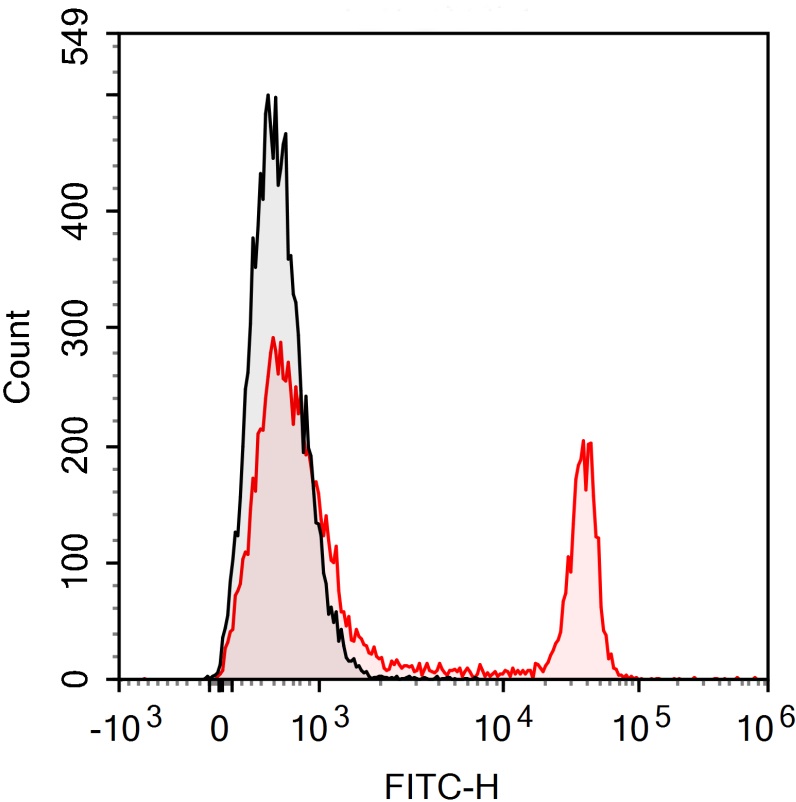 PE-Sunncell 594 Anti-Human/Mou