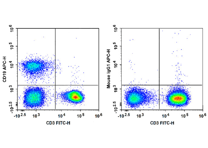 FITC Anti-Mouse CD38(NIMR5)