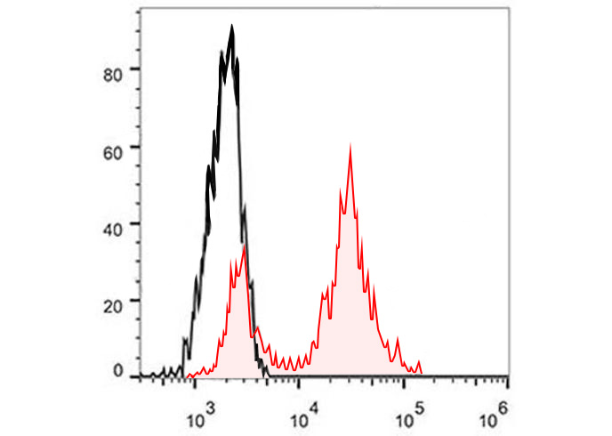 PE Anti-Human CD133(W6B3C1)