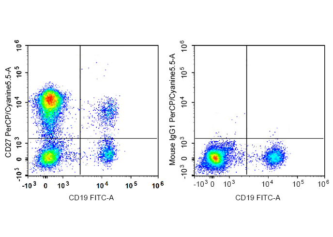 Sunncell 647 Anti-Mouse CD183/