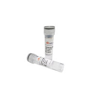 Anti-Influenza A virus (H3N2) NA/Neuraminidase Polyclonal Antibody