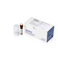 ABI TaqMan 乾坤白金多重预混液