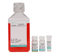 神经元细胞完全培养基