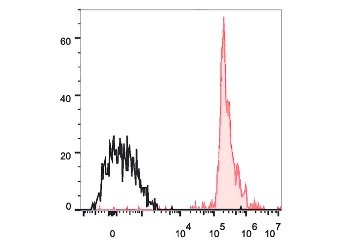 Sunncell violet 500 Anti-Human